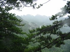 -内乡宝天曼生态旅游区