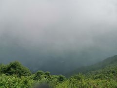 -白草畔自然风景区