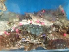 -宾朋海鲜特色美食餐厅·纯手工鲅鱼水饺(兴海路店)