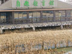 -苏州太湖湖滨国家湿地公园