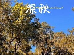 -北宫国家森林公园