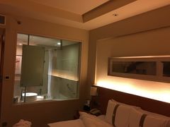 -上海浦东康桥绿地假日酒店