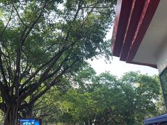 -南宁花花大世界景区