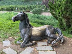 -元大都城垣遗址公园