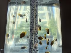 -金汤宴餐厅·粤菜(德云社店)
