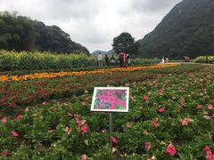-广州市石门国家森林公园