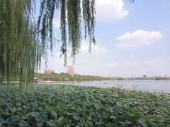 -济南大明湖景区