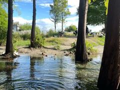 -宝安西湾红树林湿地公园