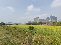 -光明小镇欢乐田园