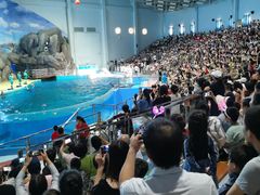 -福州罗源湾海洋世界旅游区