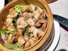 -Lingo西餐厅(仙乐斯广场店)