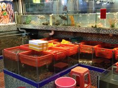 -巽寮印象美食部落餐厅·海鲜·地方特色菜(惠州体验店)