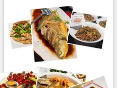 -前海沿·青岛菜(大拇指广场石老人店)