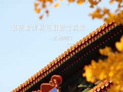 -故宫博物院(故宫)