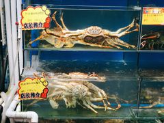 水产区-蚝专家(北滘店)
