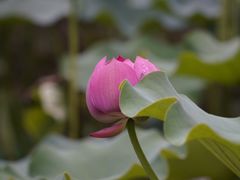 -金山公园