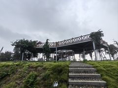 -桑洲油菜花景区