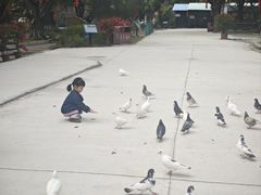 -三水森林公园