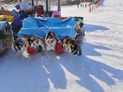 -北京亚布洛尼朝阳公园滑雪场