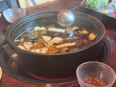 -滇野云南野生菌餐厅(陕西南路店)