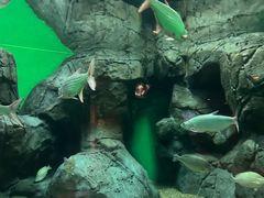 -上海海洋水族馆