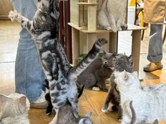 -觅时光手作·香薰·拼豆豆·陶艺DIY