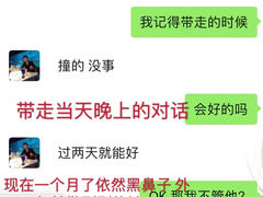 -糯米喵星人总部直营旗舰店·猫舍·幼猫出售