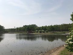 -东郊湿地公园