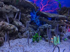 -成都浩海立方海洋公园