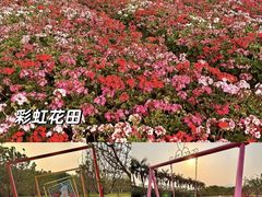 -盈香心动乐园