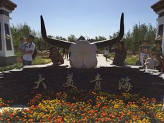 -武清南湖绿博园