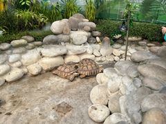 -南宫五洲植物乐园