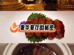 -西郊5号·Maggie 5