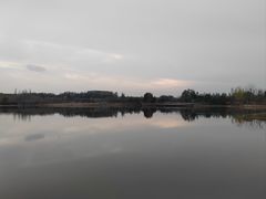-东郊湿地公园