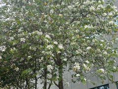 -深圳大学(丽湖校区)