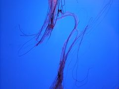 -乌鲁木齐海洋馆