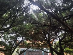 -南岳大庙