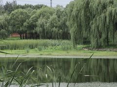 -东坝千亩湖公园