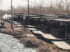 -池杉湖湿地公园