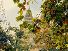 -北京石刻艺术博物馆(五塔寺)
