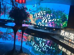 -唐宫足道·SPA·住宿24H会所(木渎店)