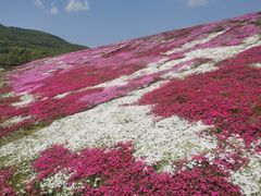 -大连铭湖国际观光牧场