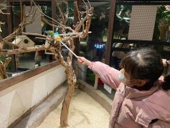 -造物庄园 萌宠纪(苏州湾歌林公园店)
