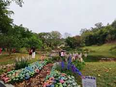 -云溪植物园