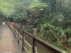 -凤栖山