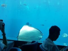 -瑞德姆美人鱼海底演艺主题餐厅(亚龙湾店)