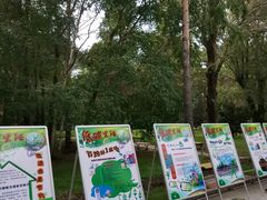 -黑龙江省森林植物园