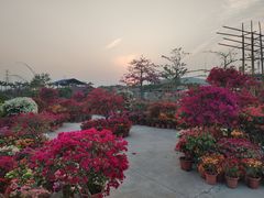 -盈香心动乐园