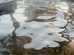 -白桦林温泉谷