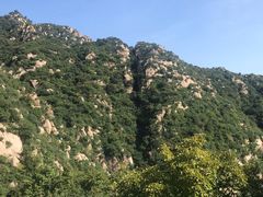 -大岭沟猕猴桃谷风景区